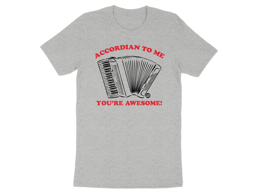 Accordian To Me You're Awesome T-shirt product type